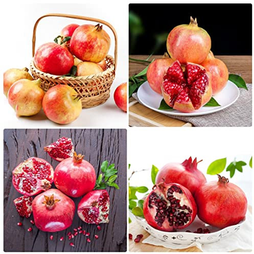 200 Stück samen granatapfelbaum winterhart kaufen granatapfel obstbaum baum luftreinigende zimmerpflanzen säulenobst fensterbank deko innen obstsamen garten samen topf pflanze
