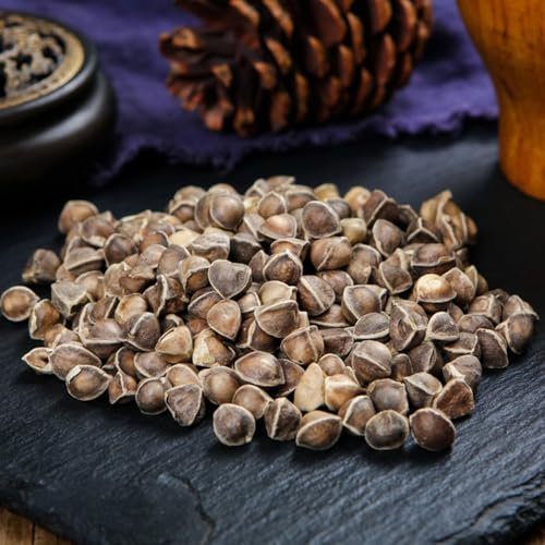 moringa samen bio, winterharte kübelpflanzen, deko blumen moringa baum pflanze kaufen samen, bio samen alte sorten, baum pflanzen exotische pflanzen winterhart, zimmerpflanzen samen 5pcs