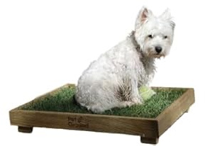 PetGround, Lit pour Chien, Gazon 100% Naturel, Caisse en Bois, Ecologique, Inodore, Réutilisable, Standard (60x40cm)