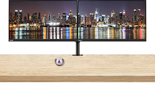 Lenovo ThinkVision S24e-20 23.8 Full HD 1920 x 1080 WLED LCD Monitor 2-Pack Bundle with Mini Speaker, 250 Nit, FreeSync, HDMI-VGA, Raven Black, & Adjustable Desk Mount Monitor Stand
