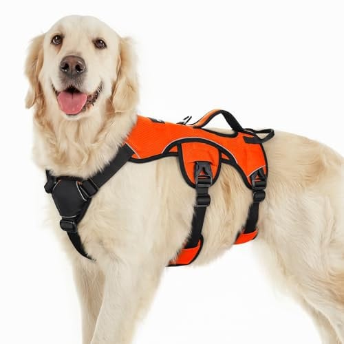 rabbitgoo Ausbruchsichere Hundegeschirr Grosse Hunde mit Griff, Anti Zug Sicherheitsgeschirr Hund Atmungsaktiv, Verstellbare Brustgeschirr, Gepolstertem Hundeweste, Panikgeschirr, Orange L