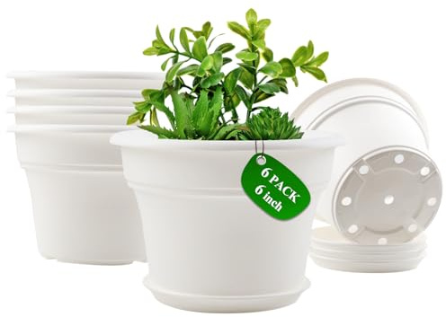 Pottiffe Plastic-Flower-Pot-for-Indoor-Plants, Large Outdoor Planter Pot with Drainage Holes & Saucers, Resin Decorative Garden Pots Planters， White- 6 inch-6 Packs