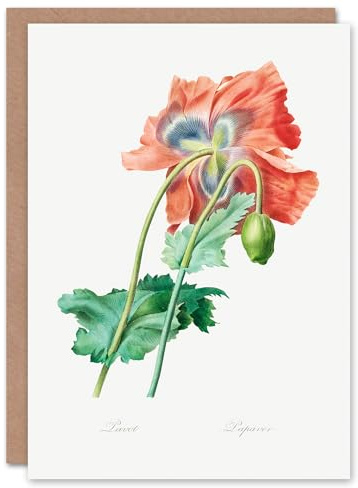 Artery8 Pierre-Joseph Redouté Art Card Poppy Flower Vintage Botanical Illustration