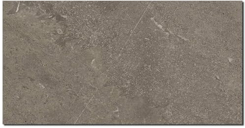 AMON Wand-Paneele 60x120cm in Natur-Steinoptik (Vulcano Brown) - ideal als Spritzschutz Küchenrückwand Dusch- Bad- Wand-Verkleidung aus 3mm PVC Wasserdicht Wasserfest für Innen- und Außenbereich