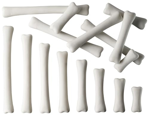 Yellow Door Dinosaur Bones Match & Measure Set, Multi