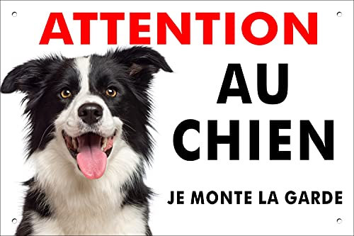 Pubblimania Border Collie Panneau signalétique pour chien en aluminium rigide, d’une épaisseur de 3 mm (20 x 30 cm)