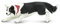 Safari S254529 Miniatur-Figur Border Collie, Bester Show-Hund