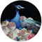 REINDERS Glasbild, Pfau, Wohnzimmer, Poster, Wanddeko, Glasbilder, Glas, Mehrfarbig, Ø 50cm