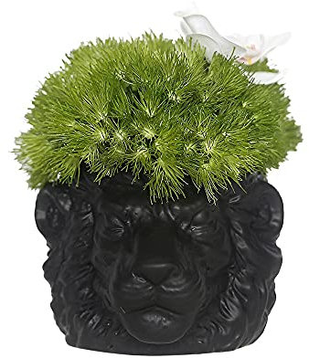 Pot de Fleurs en céramique Tête de Lion Pot de Fleurs Creative Cartoon Animal Pot de Fleurs Succulent Cactus Planteur en Pot Cendrier Plantes Vertes Balcon Décoration de la Maison (Color : Gold)