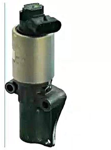 DELPHI AGR-Ventil EG10310-12B1