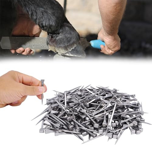 lukar 250 clavos de herradura E6 de 2.1 pulgadas de acero inoxidable para zapatos de caballo