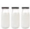 Danmu Art 3pcs 250ml Glass Milk Bottle with Pretty Black Lids Small Glass Jars for Decoration