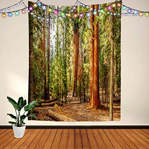 BaoNews Viridian Nature Sequoia Tapestry,Wood Red Forest Jungle Large Wall Hanging Polyester Tablecloths Tapestry Bedroom Room Living Room Dorm 59.1 x 39.4 Inches