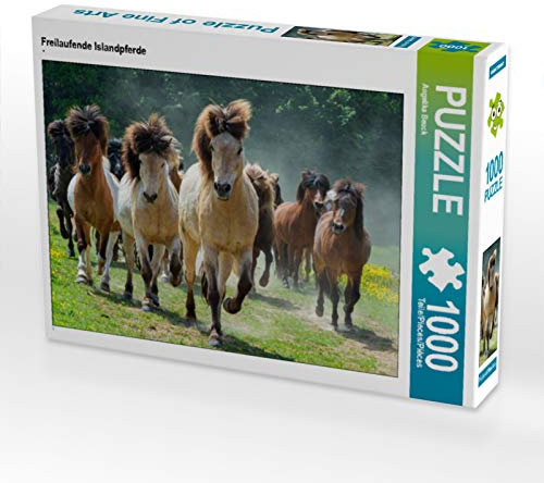 CALVENDO Puzzle Freilaufende Islandpferde 1000 Teile Puzzle quer | Lege-Größe cm Foto-Puzzle für glückliche Stunden