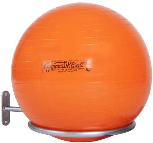 Sport-Thieme Gymnastikball Halterung | Wandhalterung für Bälle mit 45-90 cm | Für Sitzbälle, Pezzibälle, ABS Powerballs und Fußbälle im Netz | Nutzlast ca. 4 kg | Verzinktes Stahlrohr