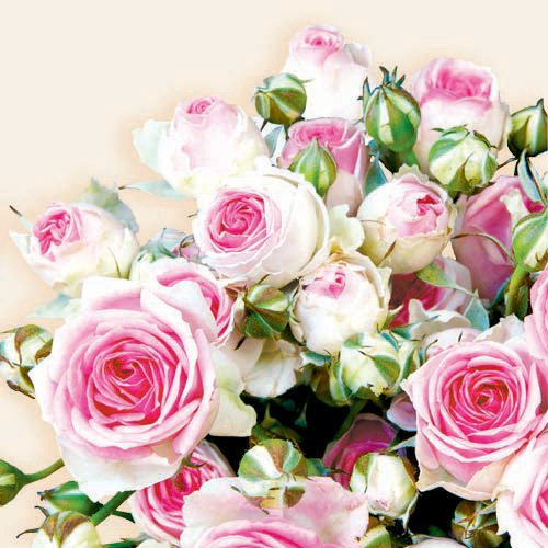 Ambiente Servietten Lunch 33x33cm Rosen