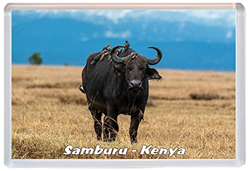 Samburu - Kenya - Kenya - 96 x 67mm Jumbo Fridge Magnet/Magnets BBSFM649