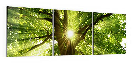 DEQORI Glasbilder Echtglas | Motiv Sonne durchflutet Blätter | horizontal 3-teilig 150x50 cm | große XXL Deko | Wandbilder für Wohnzimmer, Schlafzimmer, Flur & Küche | moderne Wanddeko