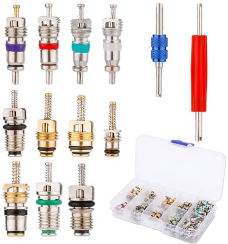 NQEUEPN 100 Kit Sello Núcleo Válvula Aire Acondicionado Automóvil, R134a R12 Kit Núcleo Válvula AC Herramienta Núcleo Válvula AC para Aire Acondicionado Automotriz con 2 Herramientas de Extracción