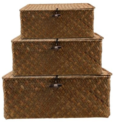 3 cesti portaoggetti con coperchio, cestino in rattan, cesti intrecciati in erba marina, contenitore multifunzione (B)