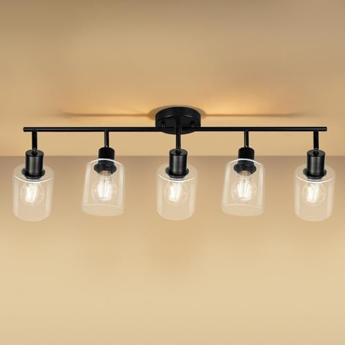 Wondlumi Deckenstrahler 5 Flammig E27 Schwarz Industrial Glas Metall | Deckenleuchte Vintage Schwenkbar 350° Deckenleuchte Strahler 230V für Wohnzimmer Esszimmer Küche ohne Leuchtmittel