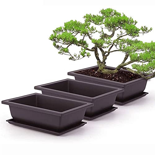 Hilai 5 Macetas y Bandejas de Entrenamiento para Bonsái - Cuadradas de Plástico Con Bandejas para Flores Suculentas, Café