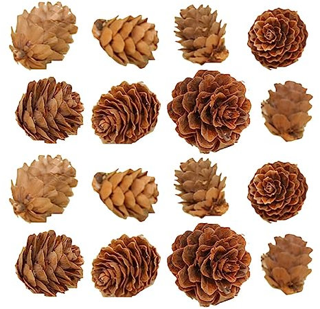 Warmhm 100 Stück Weihnachts-Tannenzapfen-Dekoration Hölzerne Tannenzapfen-Ornamente Kreative Tannenzapfen-Foto-Requisite Zum Basteln Für Weihnachten Urlaub Party Heimdekoration