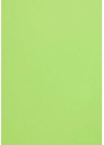 Netuno 50 Blatt Fotokarton Grün DIN A4 21 x 29,7 cm 300g Malmero Bambou farbiger Bastelkarton A4 Farbkarton bunt für Menü-Karten Einladungen Kreativkarton dickes Bastelpapier Naturkarton