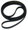 Indesit - Cinghia originale per asciugatrice IS70C ISL70C IS70CS IDC75 IDC85 IDCA835