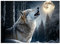 Fototapete Wolf Wald Natur Mond Nacht Tiere 400x280 cm - inkl. Kleister - für Wohnzimmer Schlafzimmer Flur Modern Vlies Tapete Vliestapete Wandtapete Motivtapeten