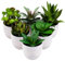 Gresorth 6er Set Künstliche Sukkulenten Pflanze Dekoration in Töpfen Gefälschte Stachelig Aloe Kaktus Agave Blume Kakteen Eingetopft Verzierung Bauernhaus Büro