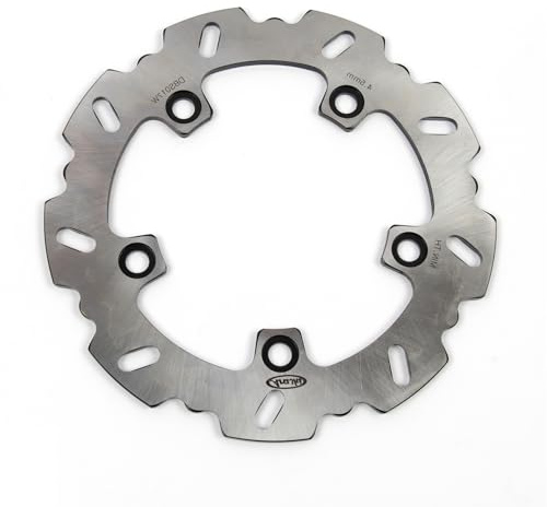 Dischi Freno Posteriore per Suzuki AN BURGMAN 250 1998-2002/400 1999-2002 Accessori di Ricambio Moto Argento AN250 AN400 98 99 2000 2001