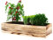 Lermowoood Hochbeet aus Holz 80x40x20 cm Geflammt – Pflanzkasten für Gemüse & Kräuter – mit Agrovließ – steckbar & stapelbar- Aussenbereich ideal für Garten, Balkon & Terrasse