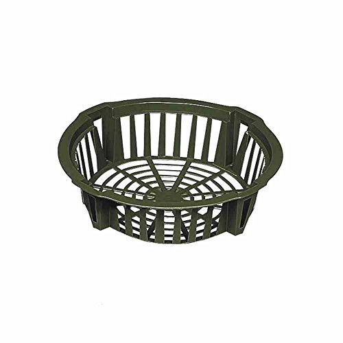 Blumenzwiebel Pflanzschalen, rechteckig