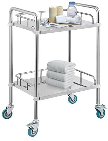 WXZX 2-lagiger Laborwagen,Medical Rollwagen,Edelstahl Sackkarre Lab Rollwagen Klinik Rollwagen Rollwagen Medizinisch Spa Beauty Salon Werkzeugauto Serving Lab Sackkarre-Silber
