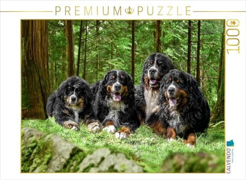 CALVENDO Puzzle Vier Berner Rüden auf Abenteuer | 1000 Teile Lege-Größe 64 x 48 cm Foto-Puzzle für glückliche Stunden