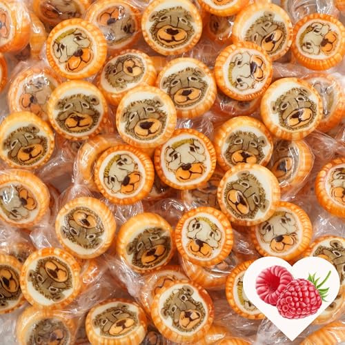 EinsSein Löwe & Bär Bonbons orange-braun 500g | Handgemachte Rocks Bonbons | Süßigkeiten & Gastgeschenke für Kindergeburtstag Taufe Party Kommunion | Essbare Tischdeko & Mitgebsel für Kinder