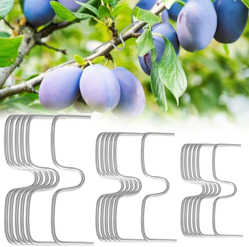 UHETLET 36 Stück Astspreizer Obstbaum Aststütze für Obstbäume 8,10,13 cm Baumstützen Pflanzen Unterstützung Metall M Förmiger Astzieher Halter Obstzweige Gartenzweige Astklammern für Obstbäume