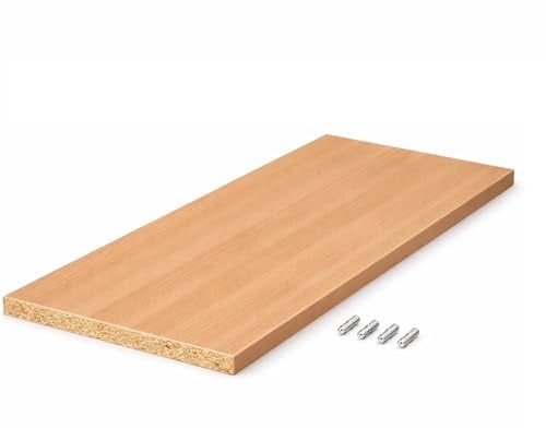 BaustoffhandelShop Einlegeboden nach Maß Dekorspanplatte 19mm mit ABS-Kante und Haltern BUCHE HELL (100x50 cm)
