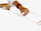 Nottingham Rehab Supplies (NRS) NRS Healthcare Strickleiter zum Aufsetzen in Betten