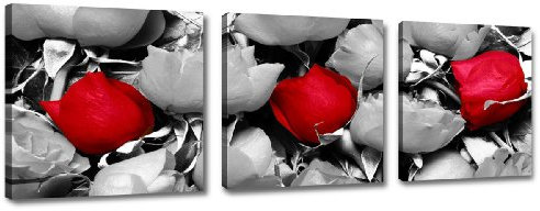 Visario Leinwandbilder 4201 Bilder auf Leinwand Bild 150 x 50 cm Rosen drei Teile