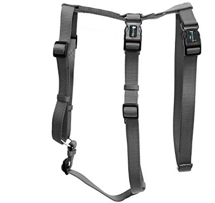 Wolters Geschirr Professional No Escape Gr.XL 70-100cm schwarz