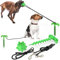 DHGTEP Attache pour Chien en Tire-Bouchon, Câble de Sortie pour Chiens, Laisse et Piquet pour la Cour du Chien, Idéal pour Le Camping ou Le Jardin (Color : Green)