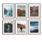 PHOTOLINI Bilderrahmen 40x50 Eiche Dunkel Holz MDF, 6er Set Bilderrahmen 50x40 mit Passepartout, bruchsicheres Acrylglas, Rahmen 40x50 zum Aufhängen mit Zubehör - picture frames für Fotos & Poster