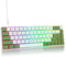 SbocKeeb Gaming Tastatur Mechanische 60 Prozent, Mini RGB Tastatur 65 Prozent Amerïka QWERTY, 68 Tasten Kabelgebundene Tastatur Hintergrundbeleuchtung für PC Gamer（GT68-RGB Matcha ）