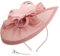 DRESHOW Fascinator Chapeaux Tea Party Chapeau Vintage Pilulier Chapeau Bandeau Cocktail Chapeaux pour Filles et Femmes