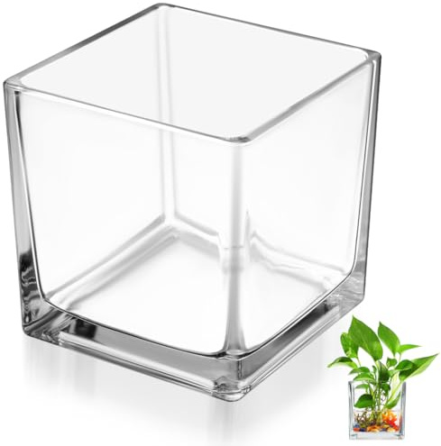 BESPORTBLE Thickened Square Glass Vase 3.94 in Cube Hydroponic Planter Clear Flower Vase for Glass Flower Home Office Desk Living Room Decor