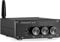 Nobsound Mini TPA3116 Amplificador digital Hi-Fi estéreo, 200 W (100 W × 2), Bluetooth 5.0, clase D, con fuente de alimentación