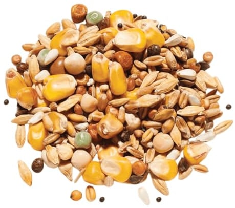 Countrywide All-Rounder Pigeon Food 20kg - High Energy & Protein Seed Mix For Pigeons - Rich In Nutritious Oils, Vitamins and Minerals - Dust Free