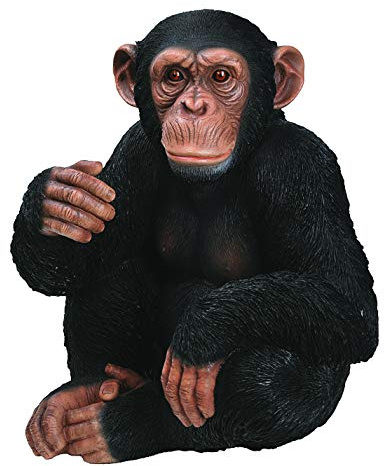 Vivid Arts Real Life Sitting Chimpanzee | Resin Home or Garden Decoration | XRL-CHM3-D